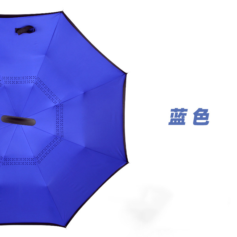雨伞实物图