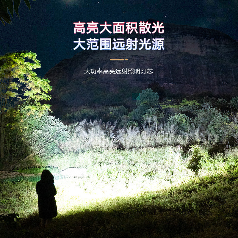 鲨鱼标ABS细节图