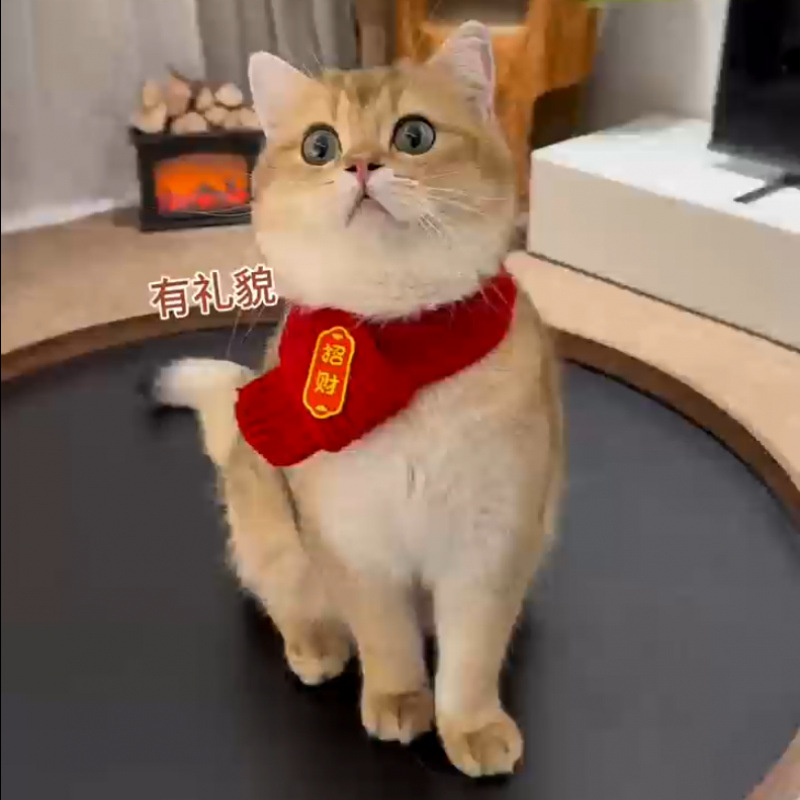 红色围脖宠物围巾可爱小狗圣诞新年毛线配饰冬季狗狗保暖猫咪招财
