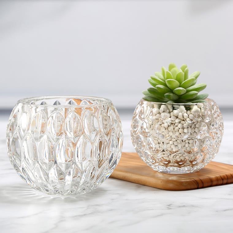 Hydroponic plant glass bottles, round glass vases, transparent green ivy and duck intestines containers, hydroponic flowerpots, vessels and containers