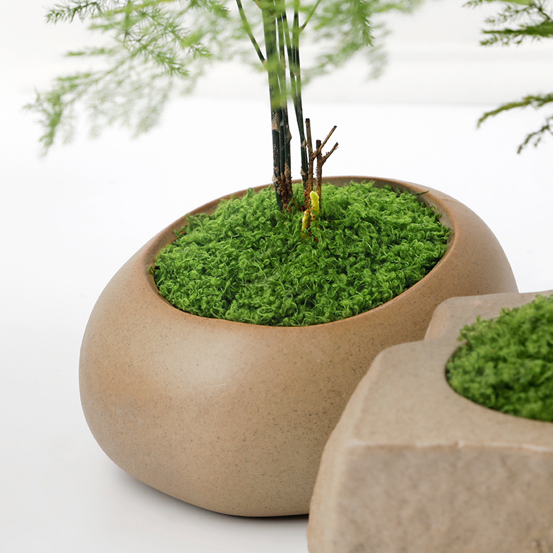 仿真苔藓 diy人造青苔草坪草皮绿植装饰造景盆景铺面丝状假苔藓细节图