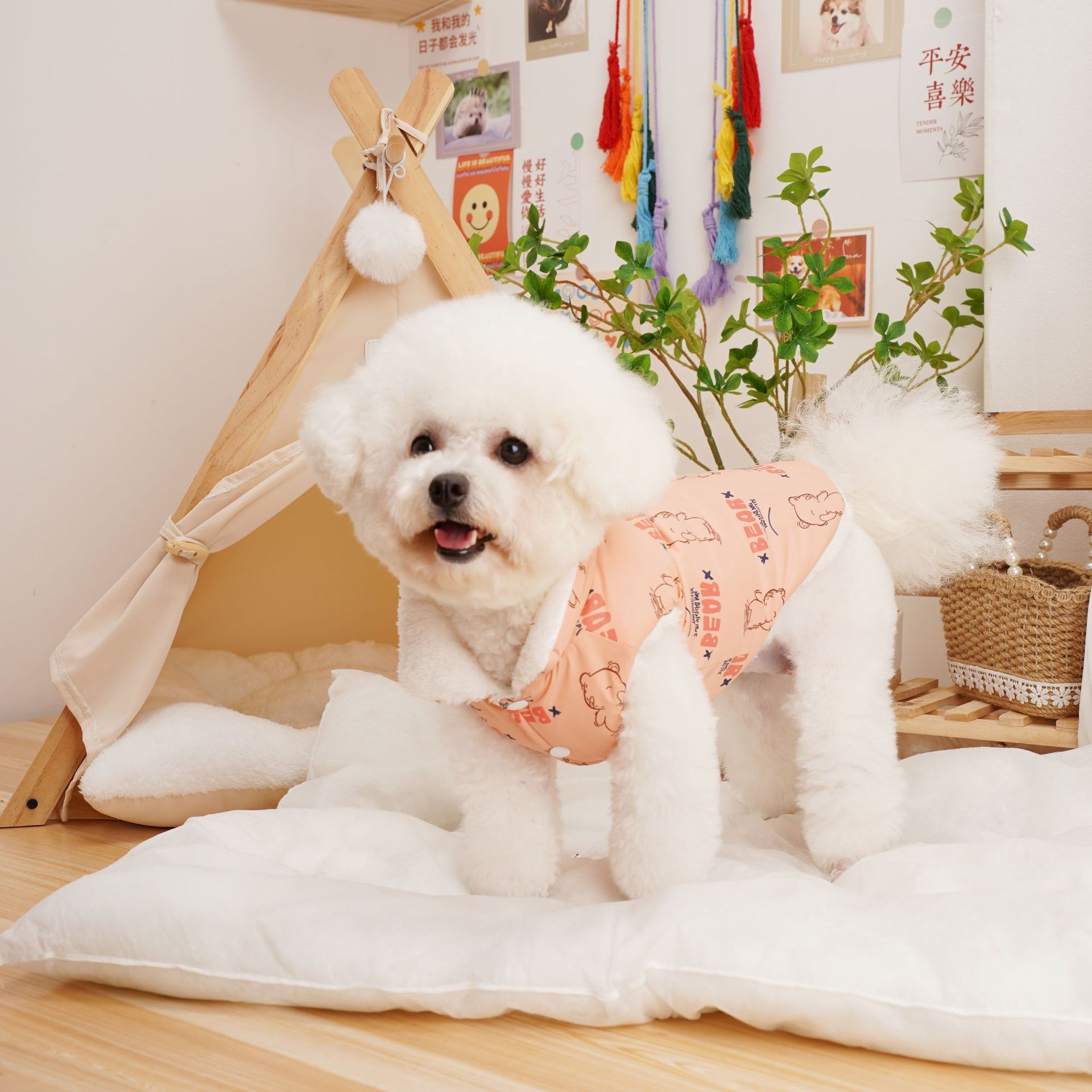 Gato cachorros ropa para perros ropa para mascotas otoño invierno chaqueta de algodón engrosado teddy by bear small dog venta caliente Specification image