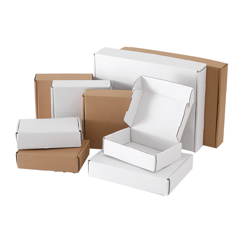 import白底实物图