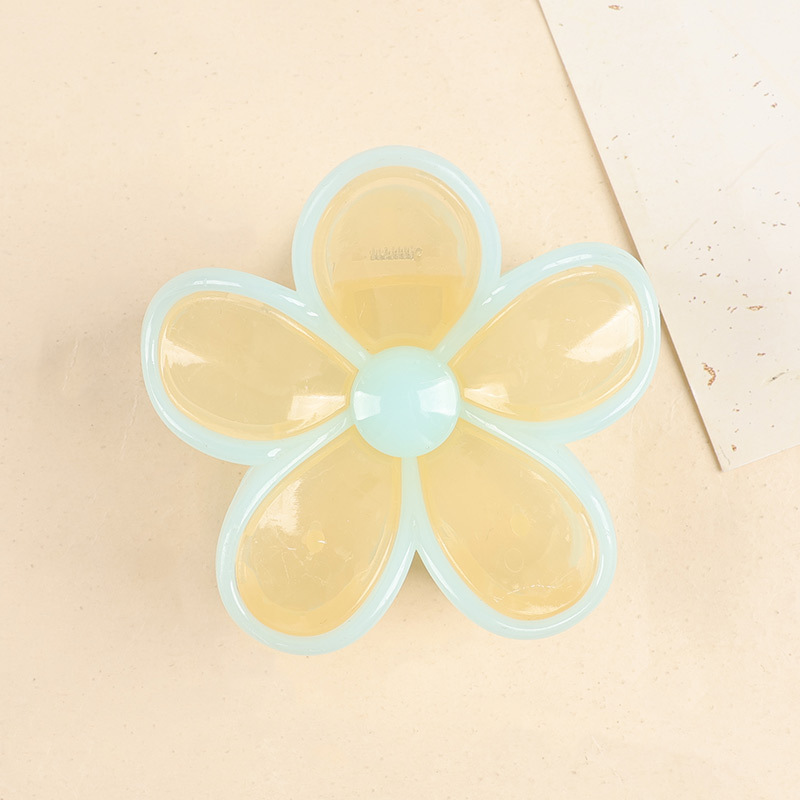 Fresh and delicate jelly-colored transparent flower hair clips, female back head updo hair clips, sweet shark clip hair clips and hair accessories pic 9