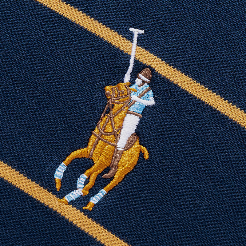 TUCANO/ Woodpecker Autumn New striped embroidered long-sleeved fashionable casual men's polo shirt Item Picture