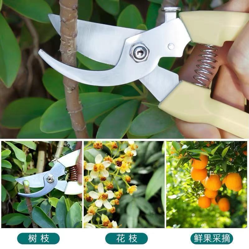 import细节图