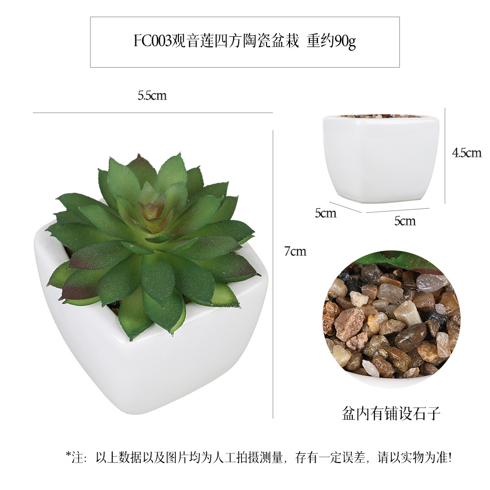 Amazon Succulent Square Ceramic pot 4-piece Home Decoration plant succulent bonsai set details Picture
