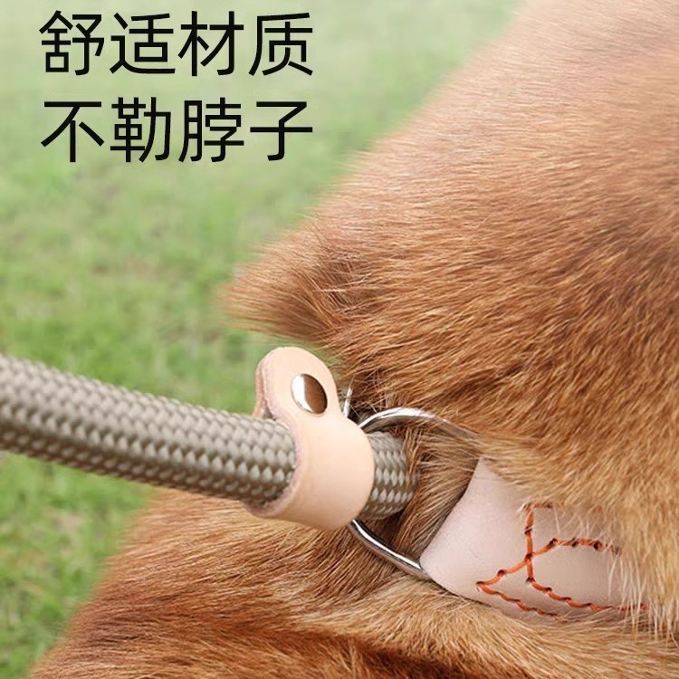 import细节图