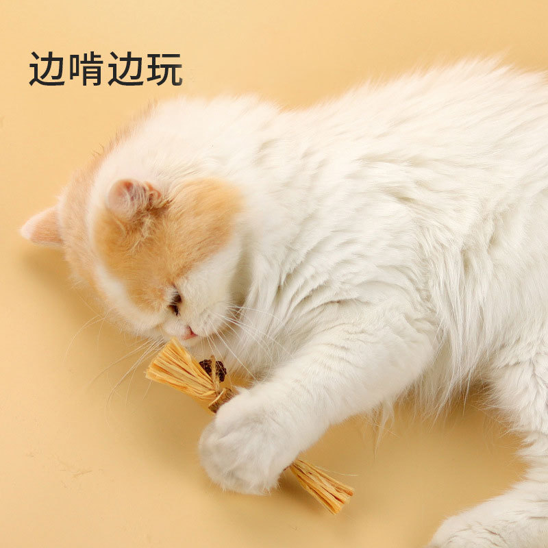 猫咪磨牙棒玩具木天蓼洁齿棒猫薄荷逗猫棒磨牙啃咬棒玩具宠物玩具详情图2