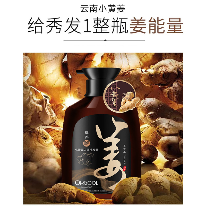 生姜去屑柔顺/小黄姜洗发露/批发厂家细节图