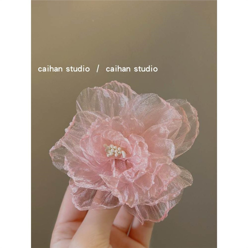 import白底实物图