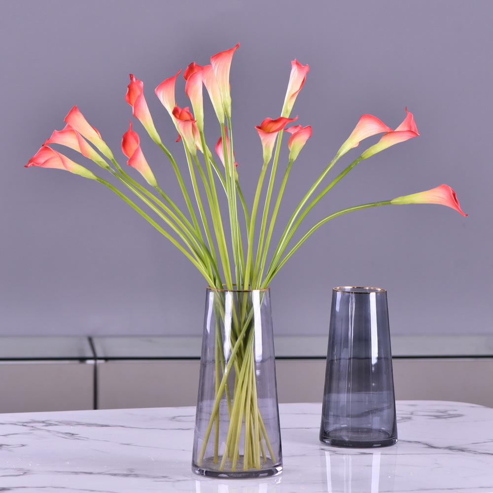 仿真植物实物图