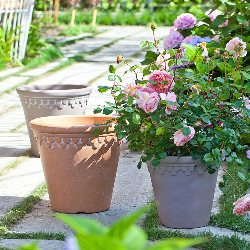 花盆容器实物图