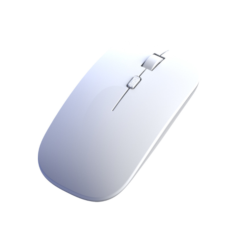 import白底实物图