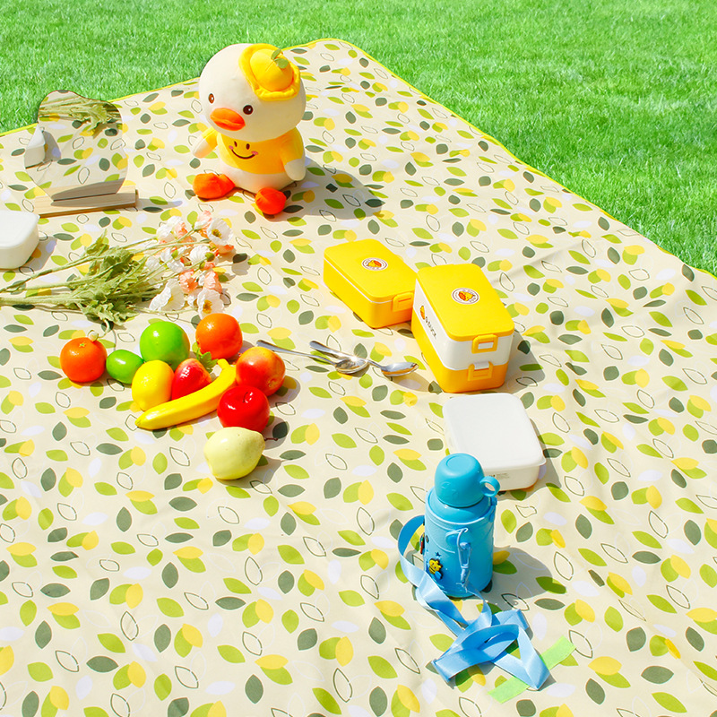 防潮垫、地席、野餐垫实物图