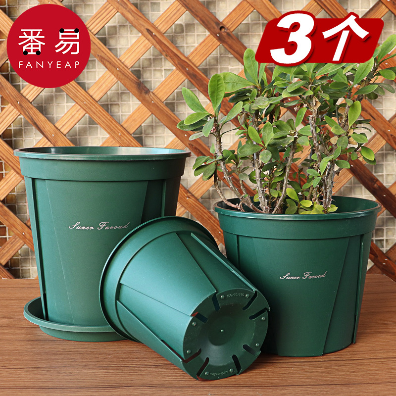 import细节图
