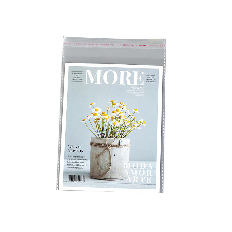 包装袋/包装袋快递/复合包装袋/膜袋pvc/袜子包装袋白底实物图