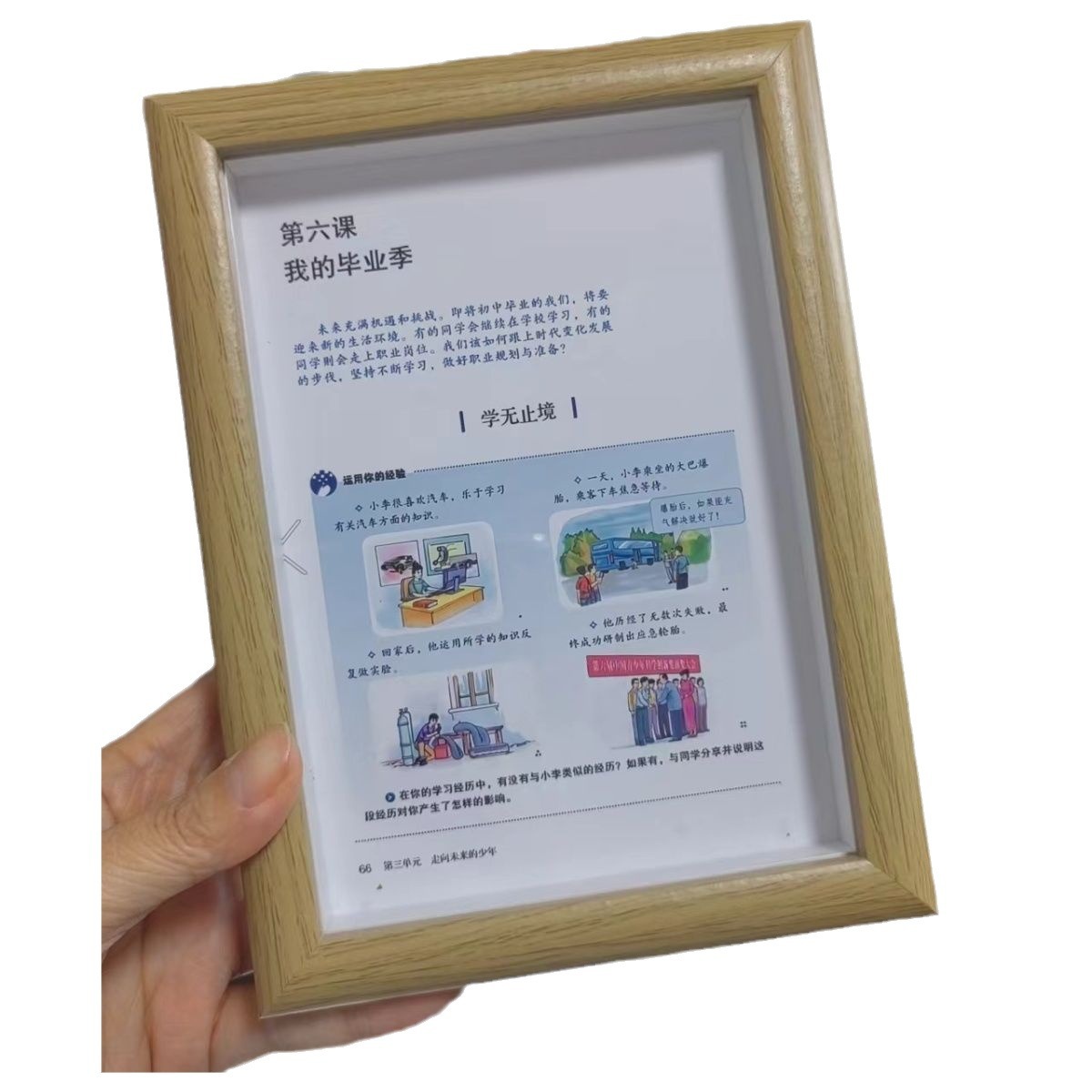 import白底实物图