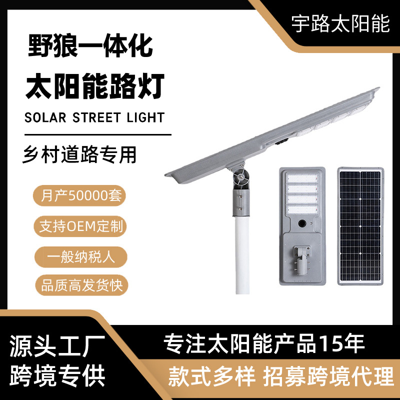 Cross-border exclusive supply Wild Wolf die-cast flat street lamp pole installation wall-mounted integrated solar street lamp