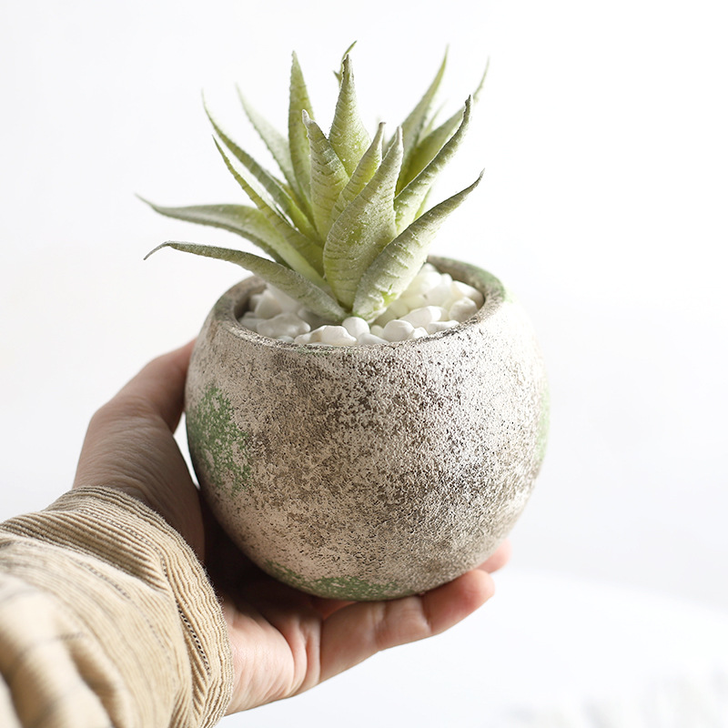 New Cement Succulent Flower Pot Moss Color To Do Old Retro Gardening Ornaments Succulent Green Plant Planter Wholesale Stock Application Scenario