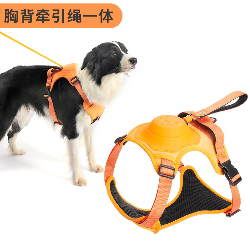 牵引绳/宠物牵引绳/牵引绳狗绳/遛狗牵引器/小狗衣服产品图