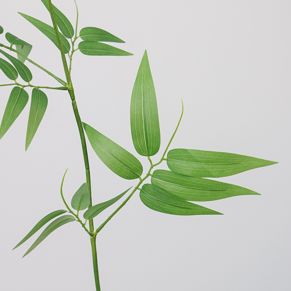 仿真植物实物图