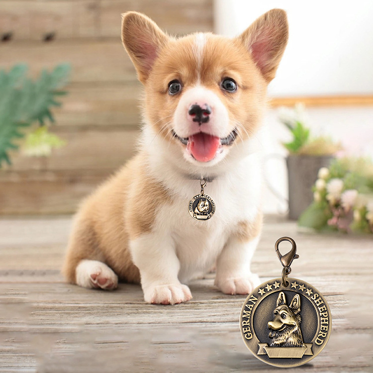 Manufacturers Spot Supply Zinc Alloy Identity Plate Can Be Engraved Pet Dog Anti-Loss Hanging Decoration Retro Zodiac Sign Application Scenario