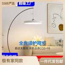Minimalist wind floor lamp modern simple fishing light living room sofa light vertical floor lamp Zhongshan lighting