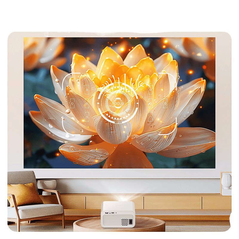 import白底实物图