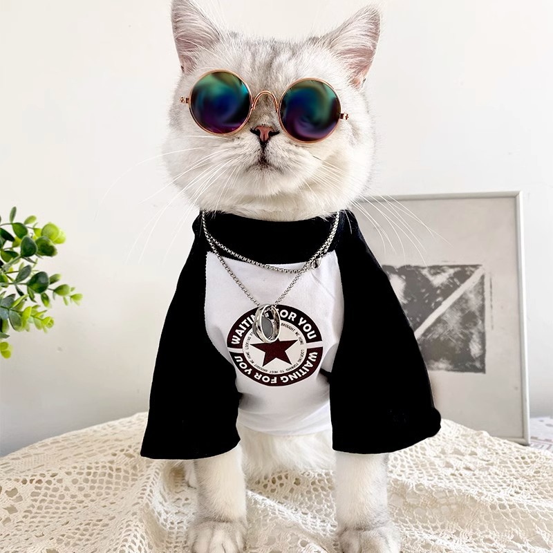 夏季薄款宠物衣服潮牌网红防掉毛英短猫咪衣服帅气小型犬猫猫衣服