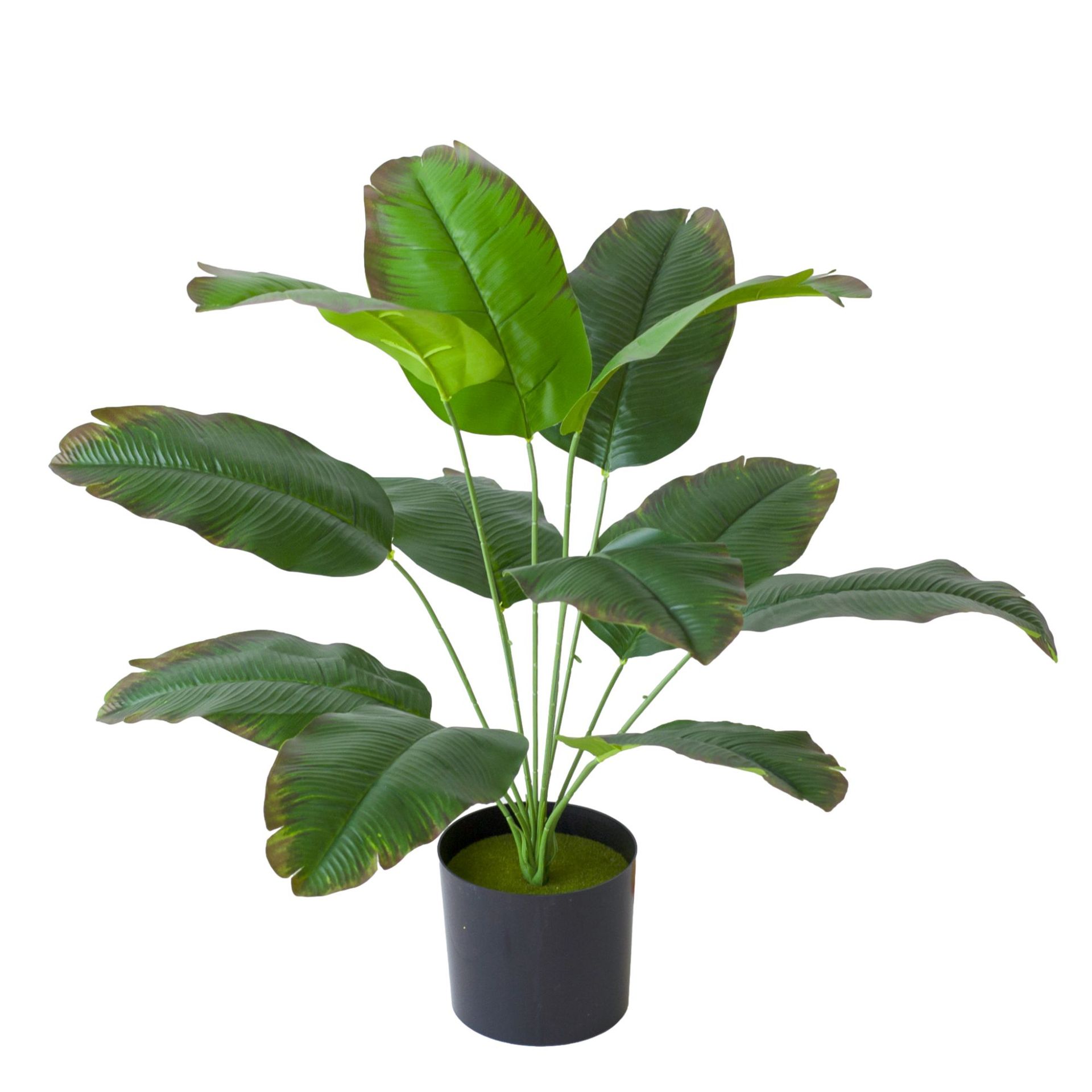 花束/仿真植物/绿植摆件/绿植装饰/竹子装饰产品图