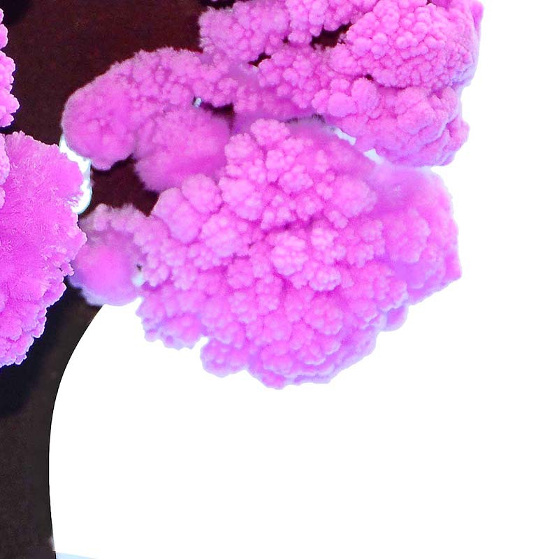 Douyin best-selling children's paper tree blooming magic Growth crystal tree natural science small toy manufacturer wholesale Application Scenario