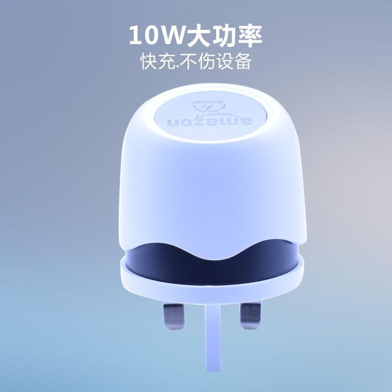 手机充电器实物图