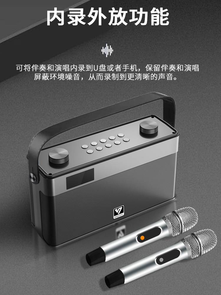 声优Q5S专业声卡K歌音响便携户外蓝牙话筒唱歌二胡萨克斯乐器音箱详情图4