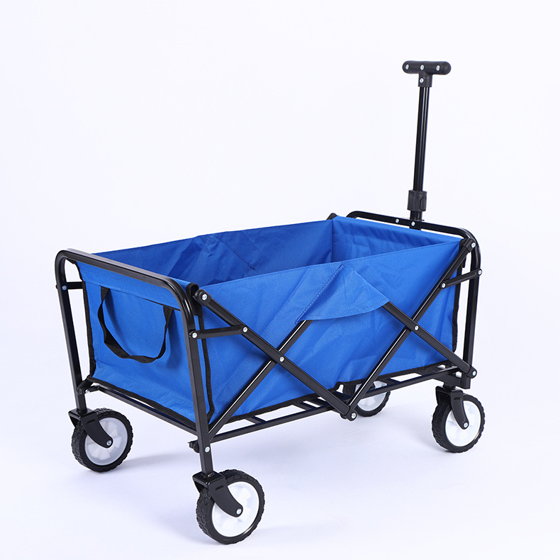 import白底实物图