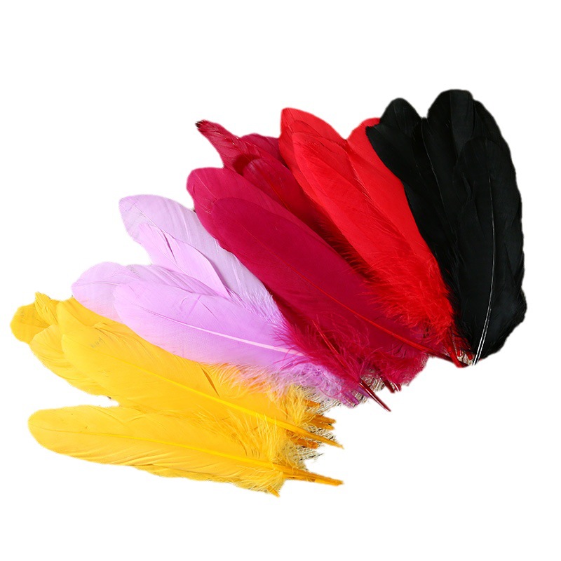 羽毛/火鸡毛/鸵鸟毛/鹅毛/火鸡羽毛条白底实物图