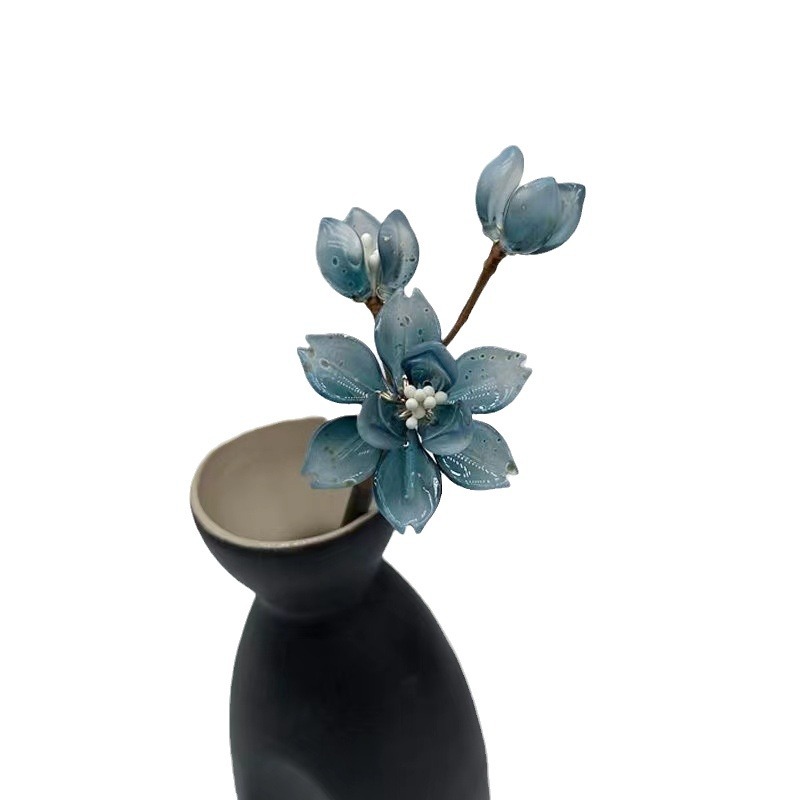 import白底实物图