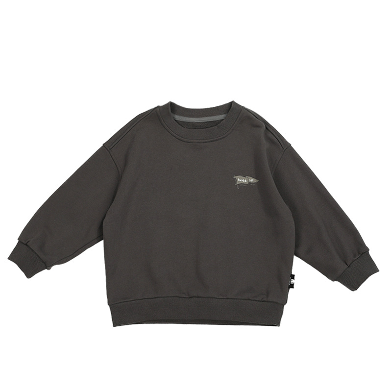 Children's clothing boys' hoodie Autumn 2024 New style Boys' autumn Cool Children's top round neck Spring and autumn style trendy Item Picture