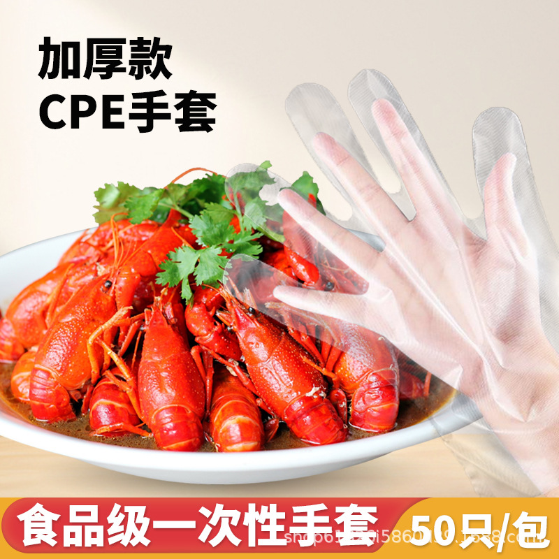 俊达一次性餐饮美食清洁食品加工CPE加厚手套防水防油手套直销