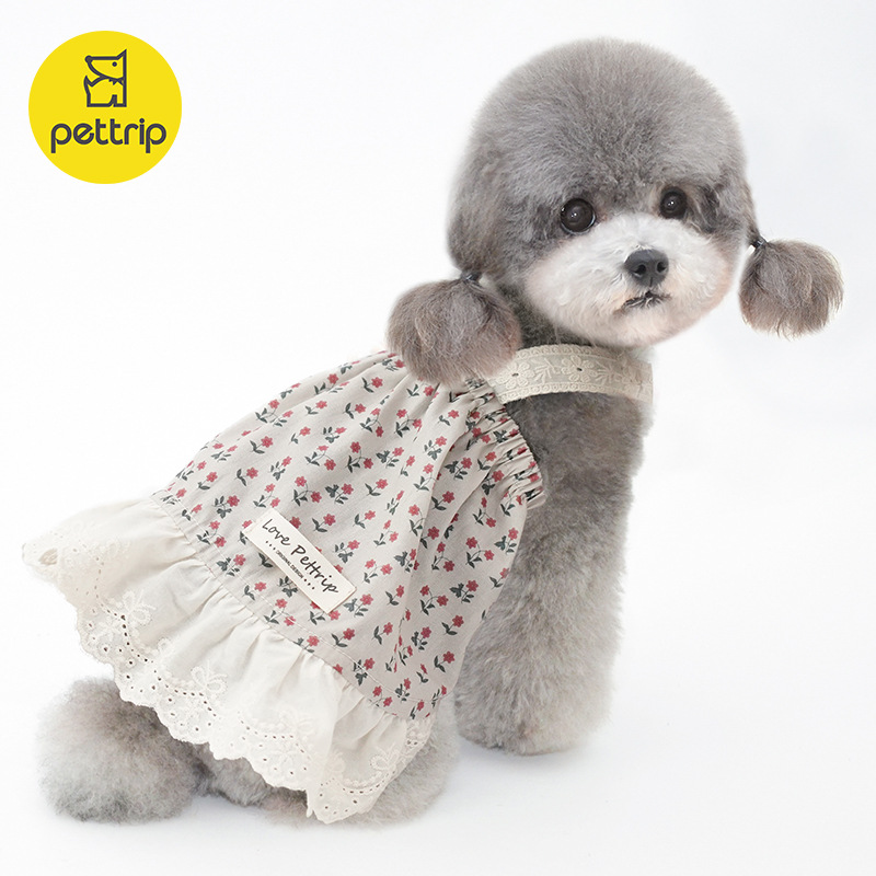 import白底实物图