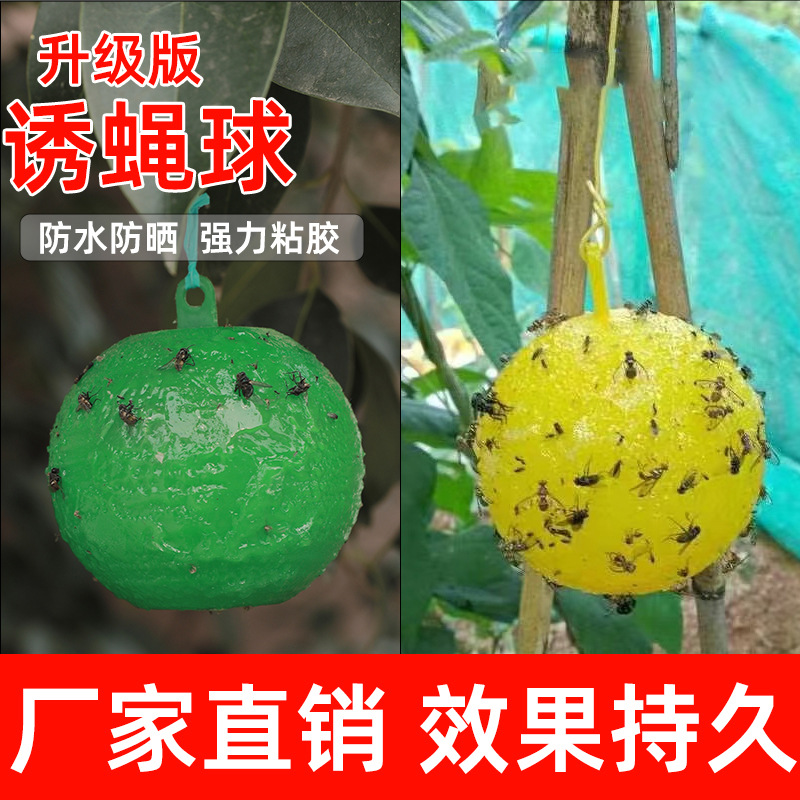 1-016 果树柑橘粘虫球诱蝇球果实蝇大小实蝇针锋菜园诱粘球 果蝇球诱捕器