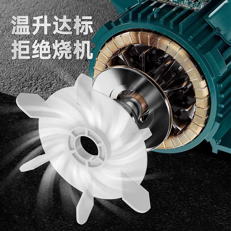 塔虎全铜单相电机220V交流有刷电机 全铜线圈塔虎单相异步电动机详情图4