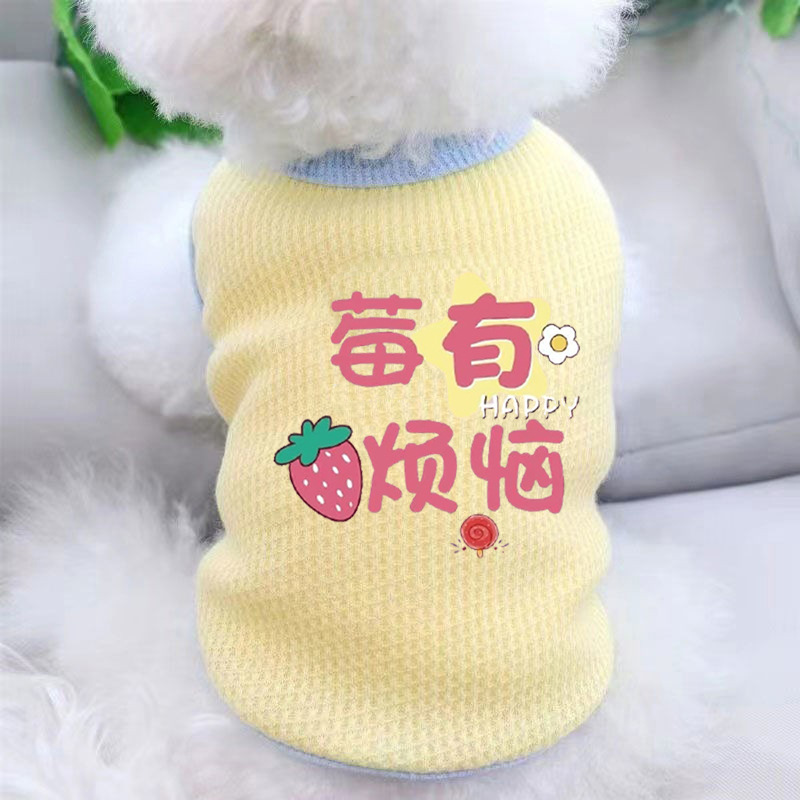 狗狗服装实物图