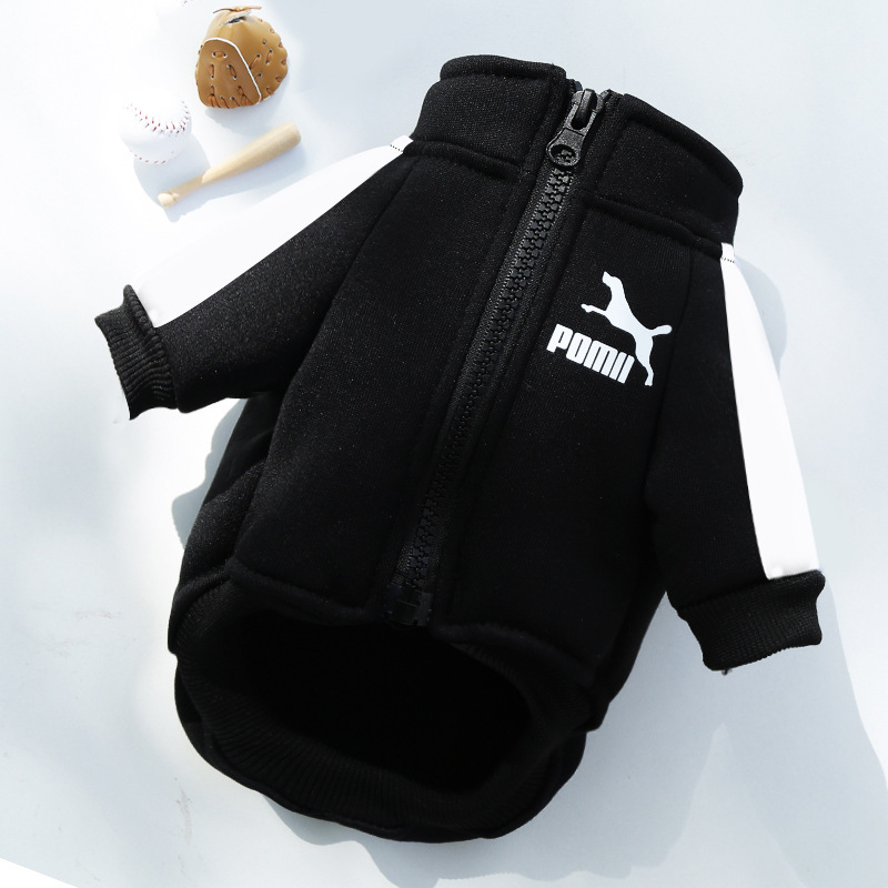 Ropa para mascotas otoño invierno calor marca de moda sudaderas letras fardoubi oso perro gato pequeño medio grande perro suministros Application Scenario