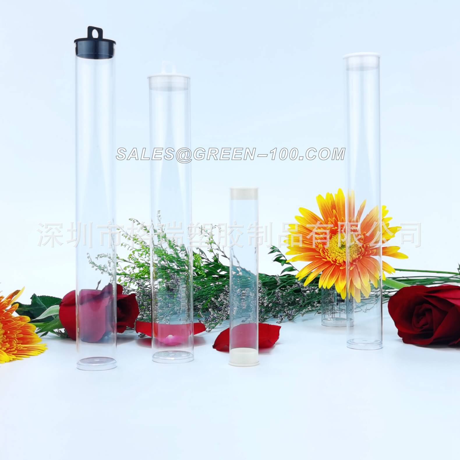 import白底实物图