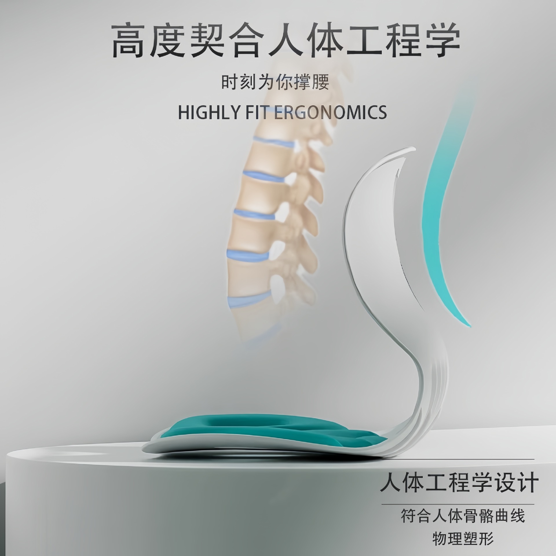 保健护具实物图