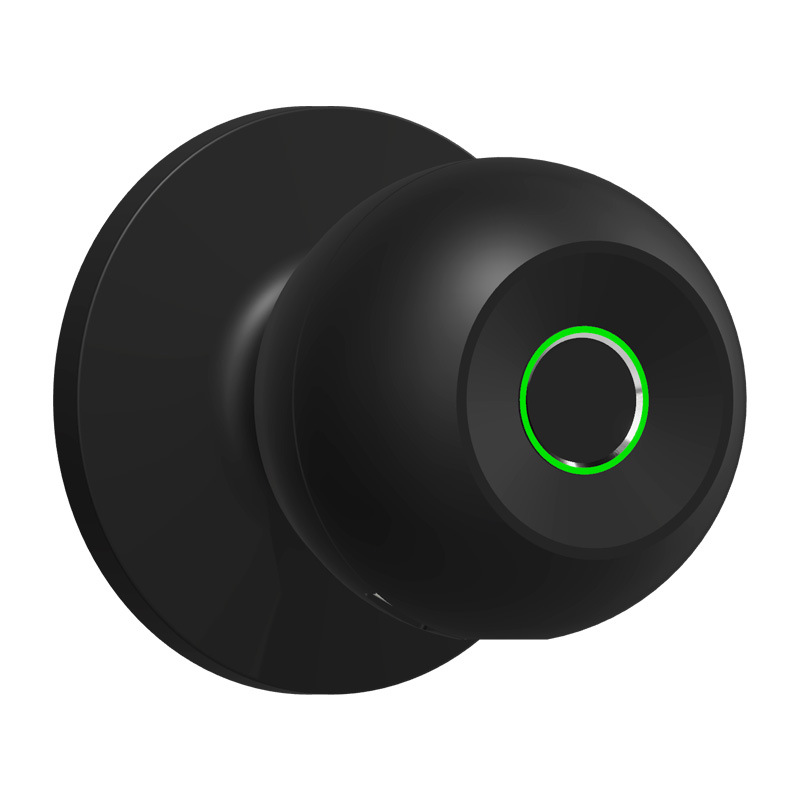 Graffiti New Indoor Fingerprint Lock Cross-Border For Home Wooden Door Spherical Lock Smart Electronic Lock Left And Right Door Universal Item Picture