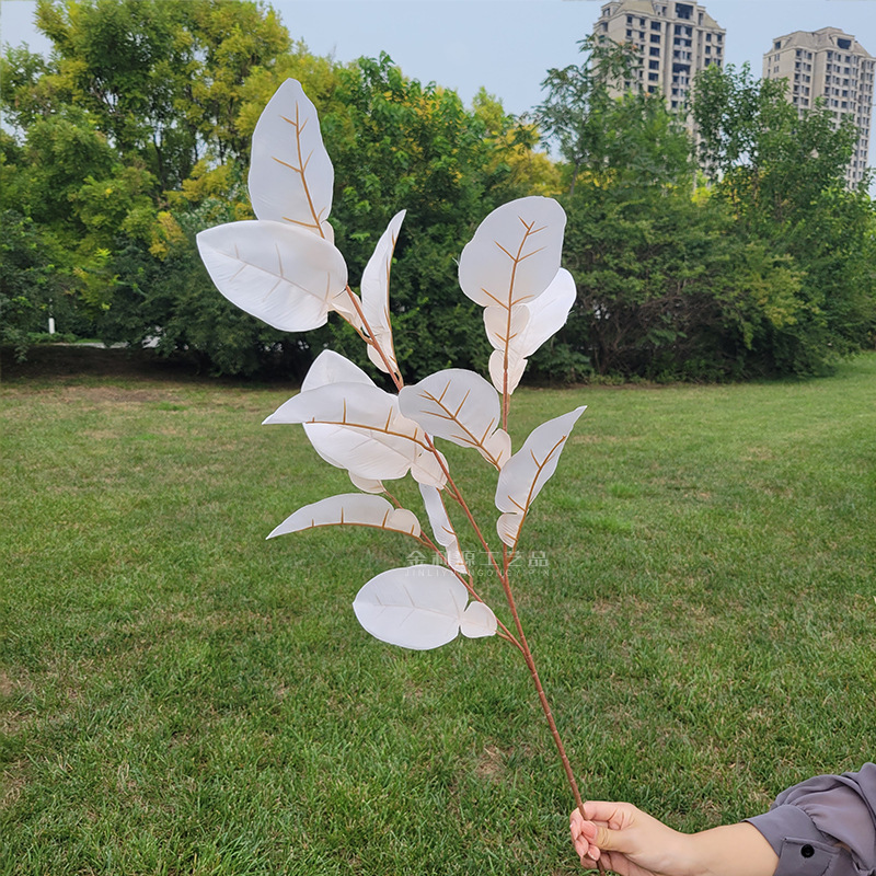 仿真植物实物图