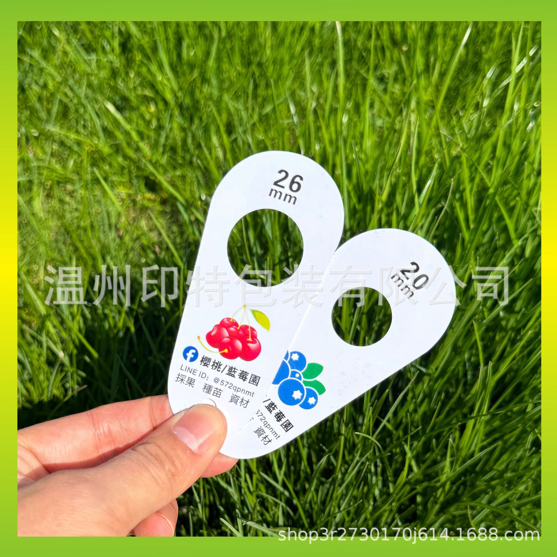Customized pvc fruit measuring rulers, cherry, cherry, blueberry, grape size card rulers, plastic rulers made Specification drawing