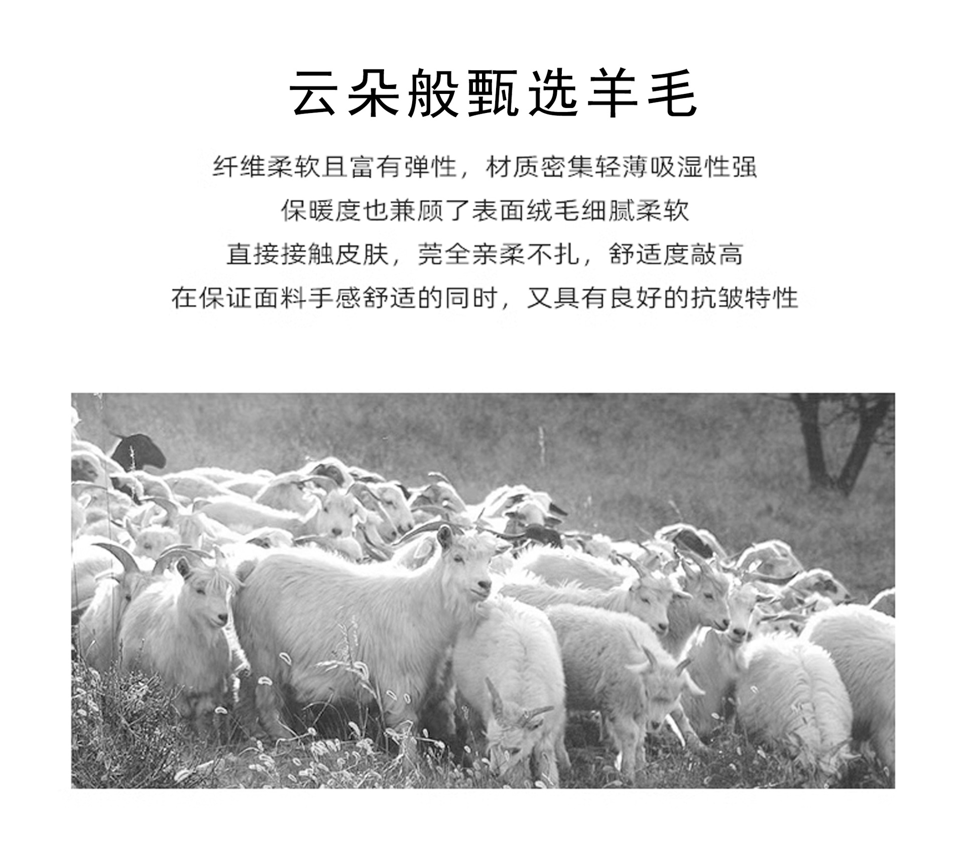 新款秋冬格子羊毛围巾女百搭流苏时尚保暖围脖舒适100%真羊毛围巾详情5